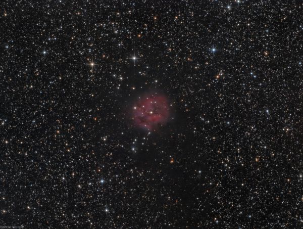 IC5146 Cocoon Nebula - Astrophotography