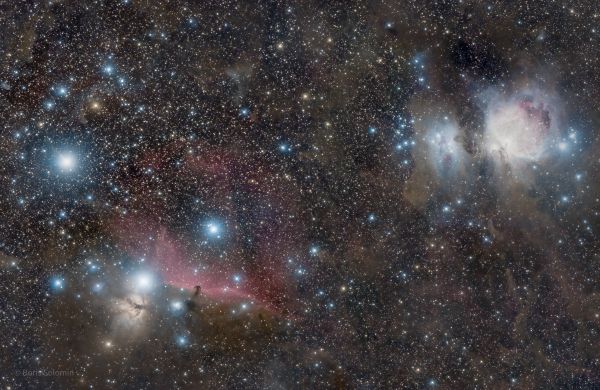 Orion. Mosaic 2x2. More light. - Astrophotography