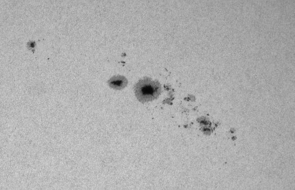 Sun, AR 14115 and 14114 08:43 UTC+05 18.06.2025. - Astrophotography