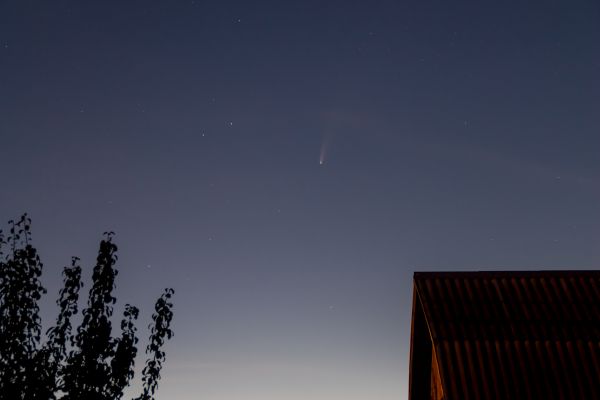 C2020 F3 (NEOWISE)  17.07.2020 - Astrophotography