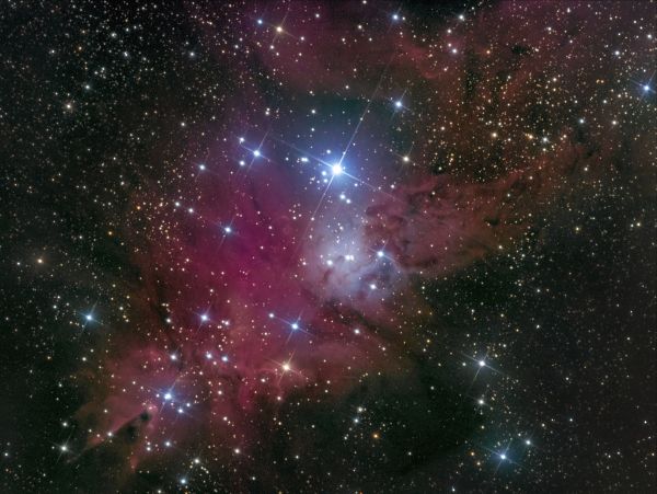 NGC 2264 (Christmas Tree Cluster) - Astrophotography