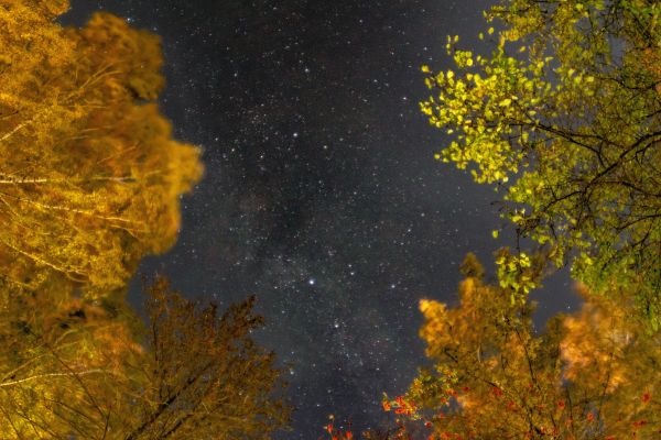 Autumn and Stars - Astrophotography