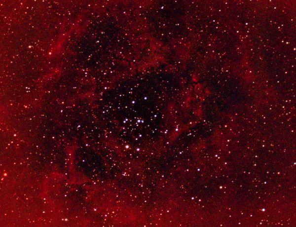 The Rosette Nebula (NGC 2237) - Astrophotography