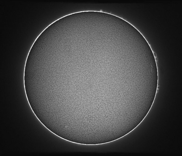 Sun, monochrome. August 5, 2021. - Astrophotography