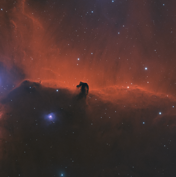 Horsehead Nebula IC 434 - Astrophotography