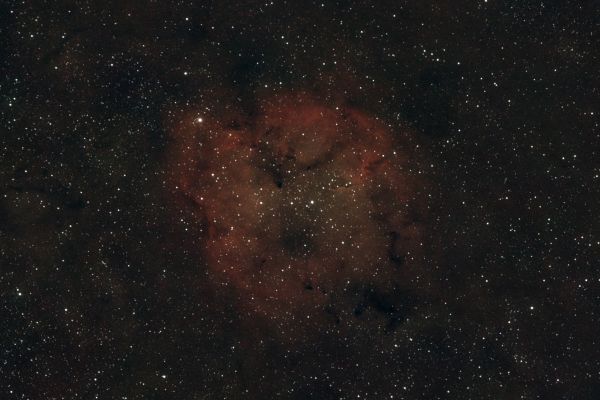 Trunk - Astrophotography