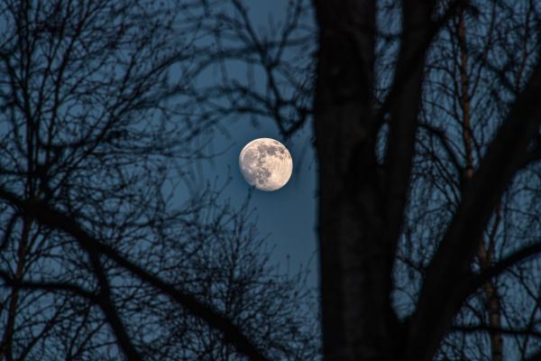 The Moon - Astrophotography