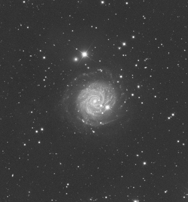 NGC 3344 - Astrophotography