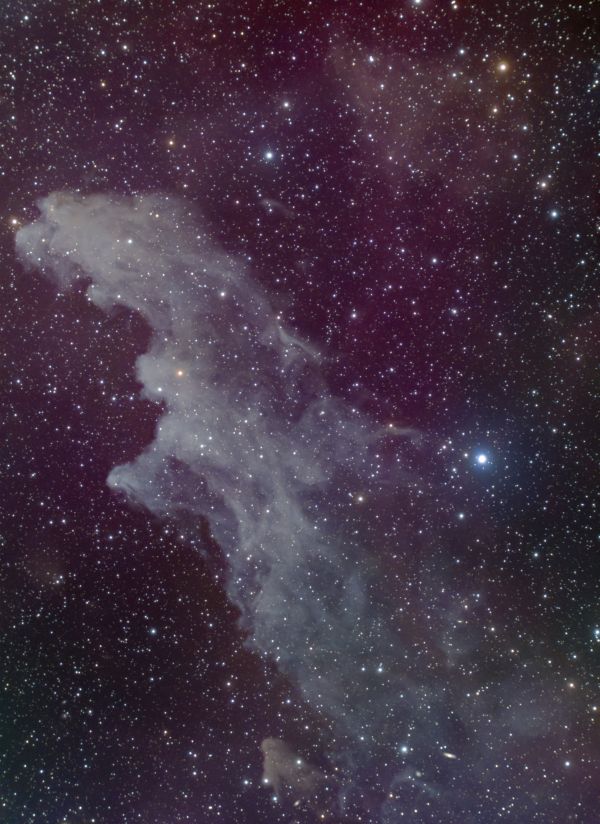 IC2118 - Astrophotography