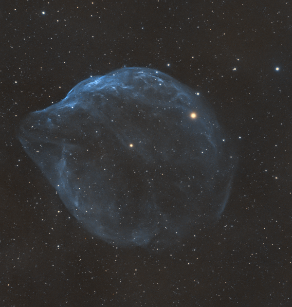 SH2-308: The Dolphin-Head Nebula - Astrophotography
