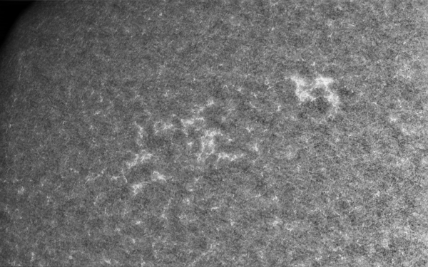 2020.10.25 Sun CaK - Astrophotography