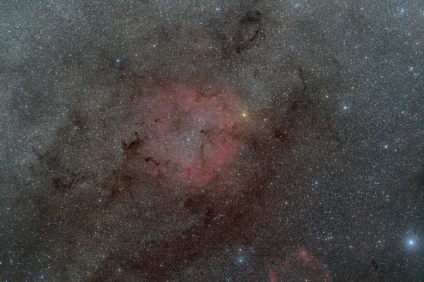 Wide field with Elephant trunk nebula - Astrophotography
