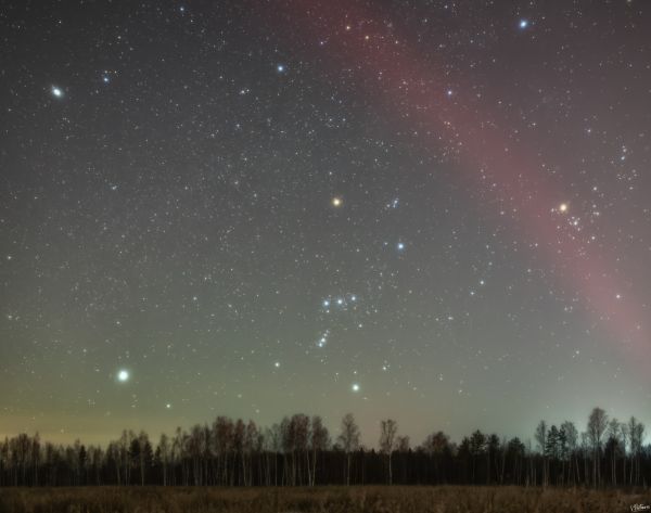 Farewell to Orion - Astrophotography