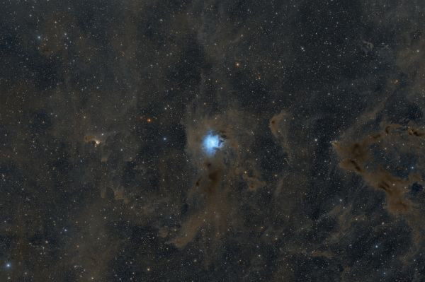 NGC 7023 Iris Nebula - Astrophotography