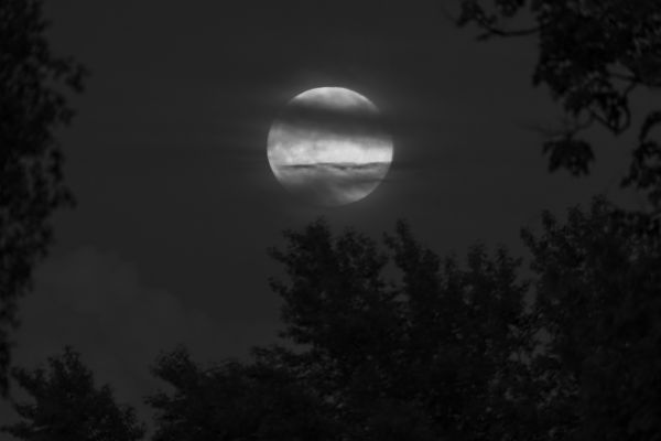 Moonrise - Astrophotography