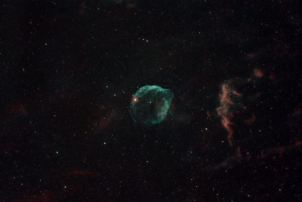 SH2-308 - Astrophotography