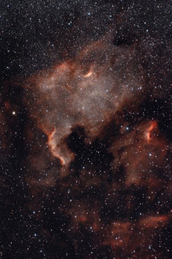 The North America Nebula and the Pelican Nebula in the constellation Cygnus. - Astrophotography