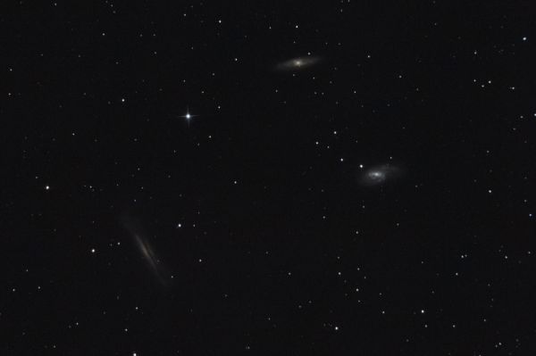 LEO TRIPLET M65 M66 NGC 3628 - Astrophotography