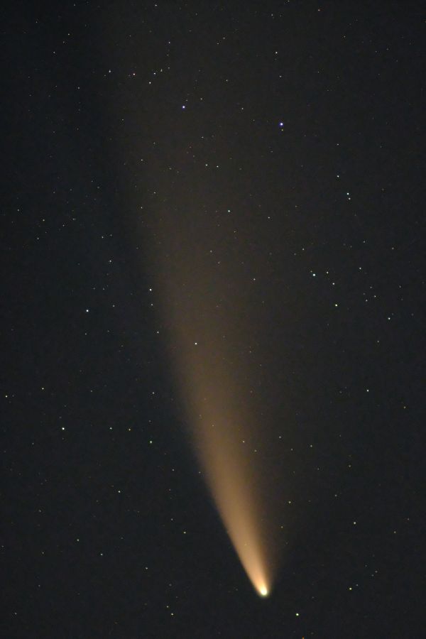 Comet C/2020 F3 - Astrophotography