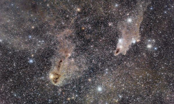 La baudroie et le requin - Astrophotography