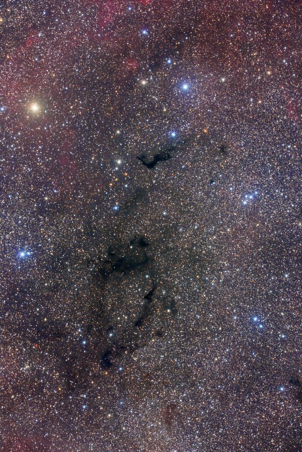 LDN1146 - Astrophotography