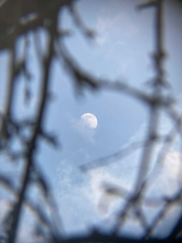 The Moon. April 22, 2021 - Astrophotography