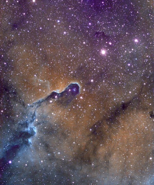 Elephant Trunk - Astrophotography