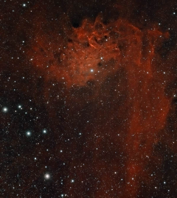 The Flaming Star Nebula (SH 2-229) - Astrophotography