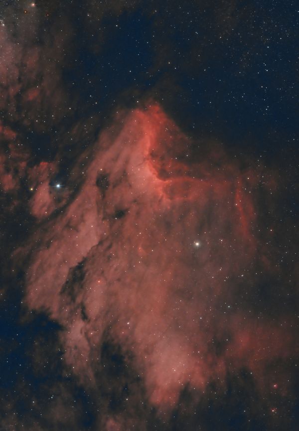 IC 5070 The Pterodactyl (or Pelican) - Astrophotography