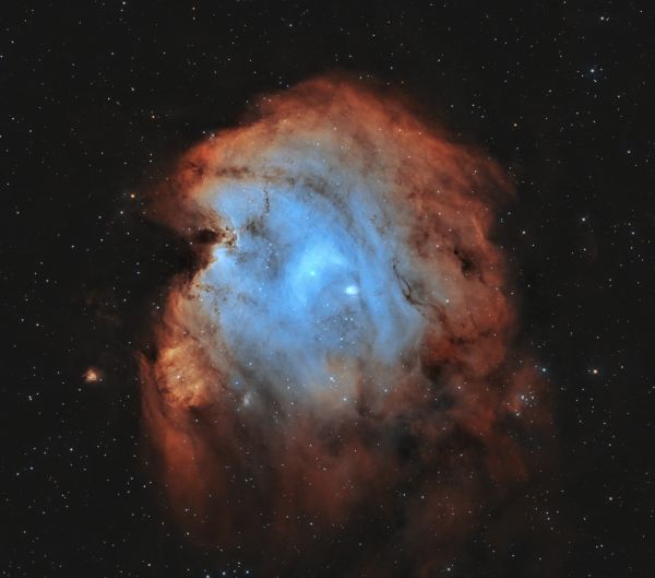 NGC 2175 Monkey Head - Astrophotography