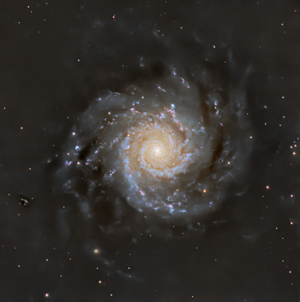 M74 - Astrophotography