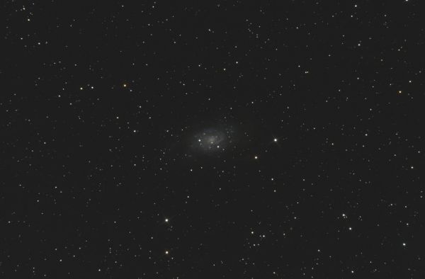 NGC 2403 - Astrophotography