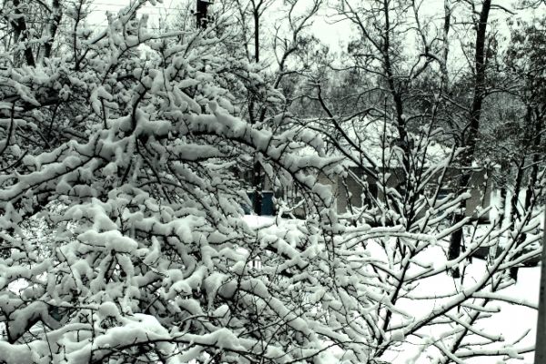 Winter. - Astrophotography