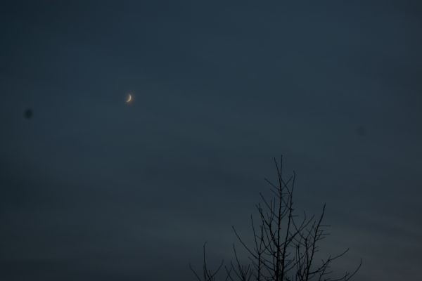 The Moon in the celestial dome on December 1, 2019. - Astrophotography