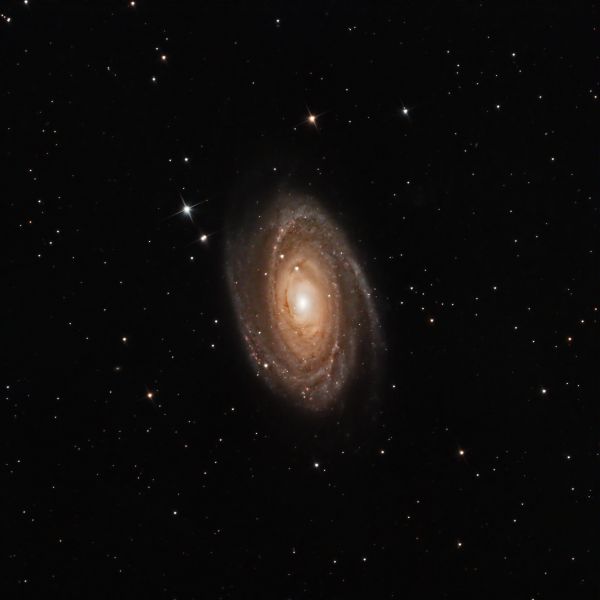 M81 - Astrophotography