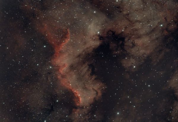 NGC 7000 (North America Nebula) - Astrophotography