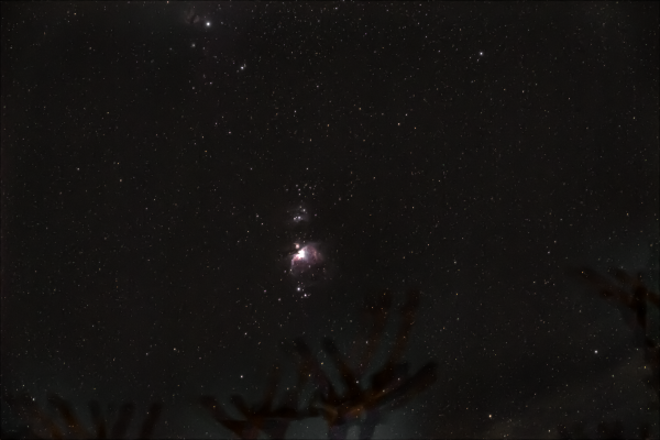 Orion and its nebulae. 19.01.2025 - Astrophotography
