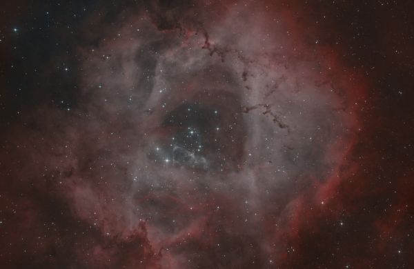 NGC 2237, the Rosette Nebula - Astrophotography
