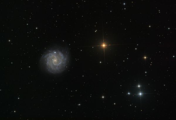 Galaxy NGC3184 - Astrophotography