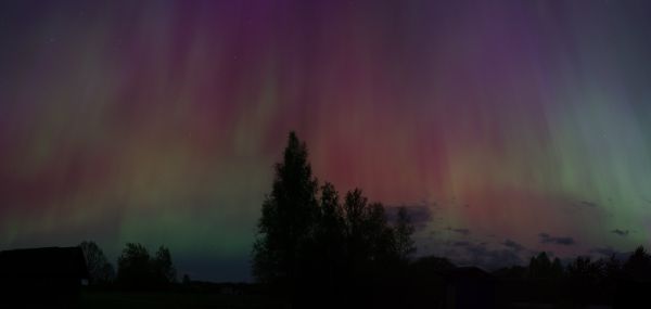 Aurora 10-11.05.24 - Astrophotography