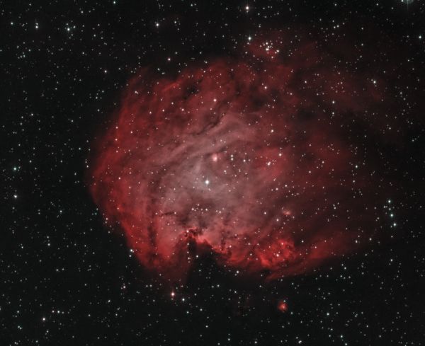 NGC2174 Monkey Head Nebula (HOO) - Astrophotography