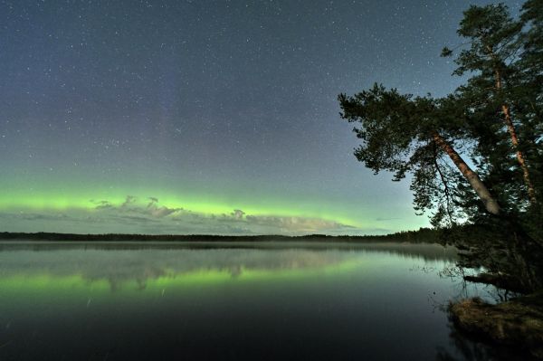 Aurora polar lights 04.2024 - Astrophotography