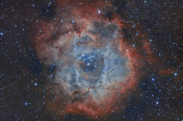 NGC 2237 - Astrophotography