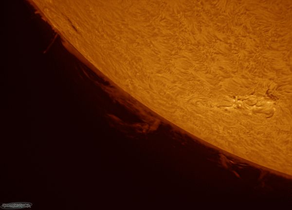 Chromosphere of the Sun - Astrophotography