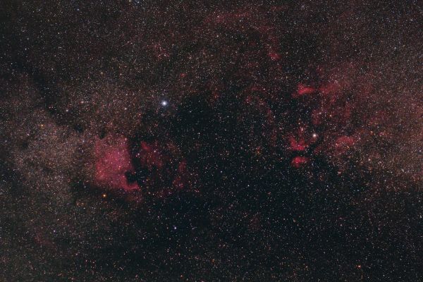 Cygnus - Astrophotography