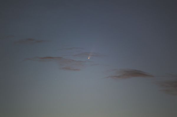 C/2020 F3 (NEOWISE) - Astrophotography