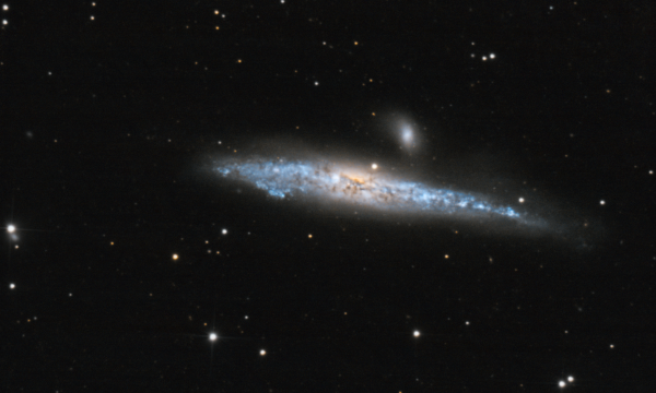 Ngc 4631 - Astrophotography