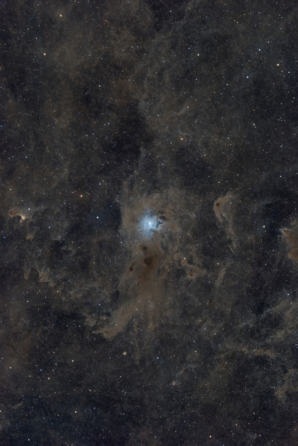 NGC 7023 - Iris - Astrophotography