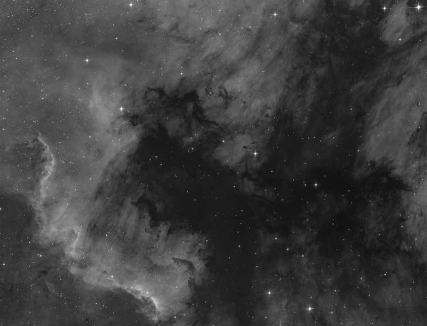 NGC 7000 - Astrophotography