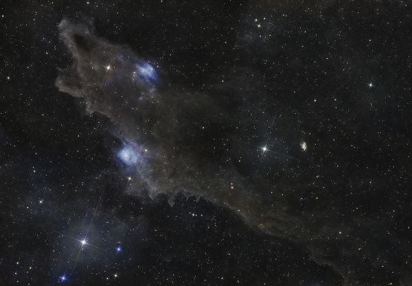 LDN 1235 Shark Nebula - Astrophotography